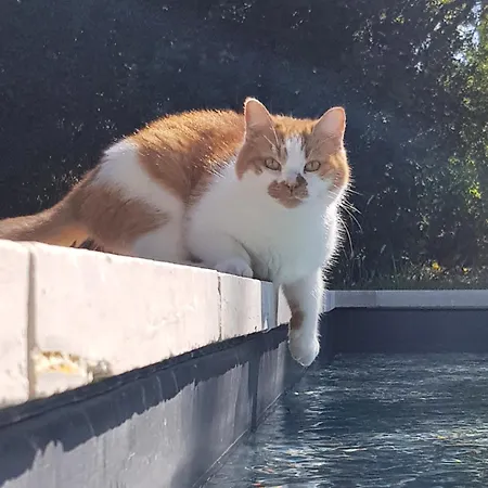 Pensjonat Mas Notre-dame, Adults Only, Situation Ideale, Grand Jardin Paisible Grospierres