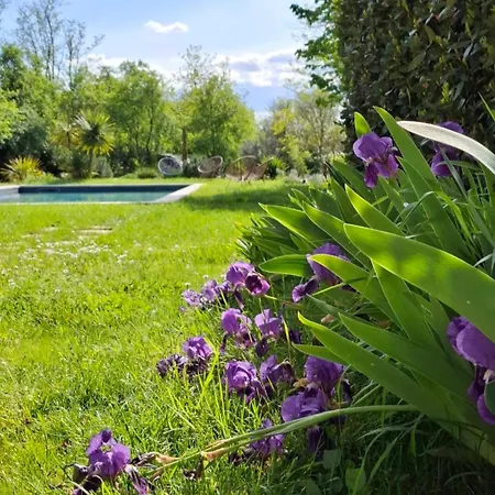 Pensjonat Mas Notre-dame, Adults Only, Situation Ideale, Grand Jardin Paisible